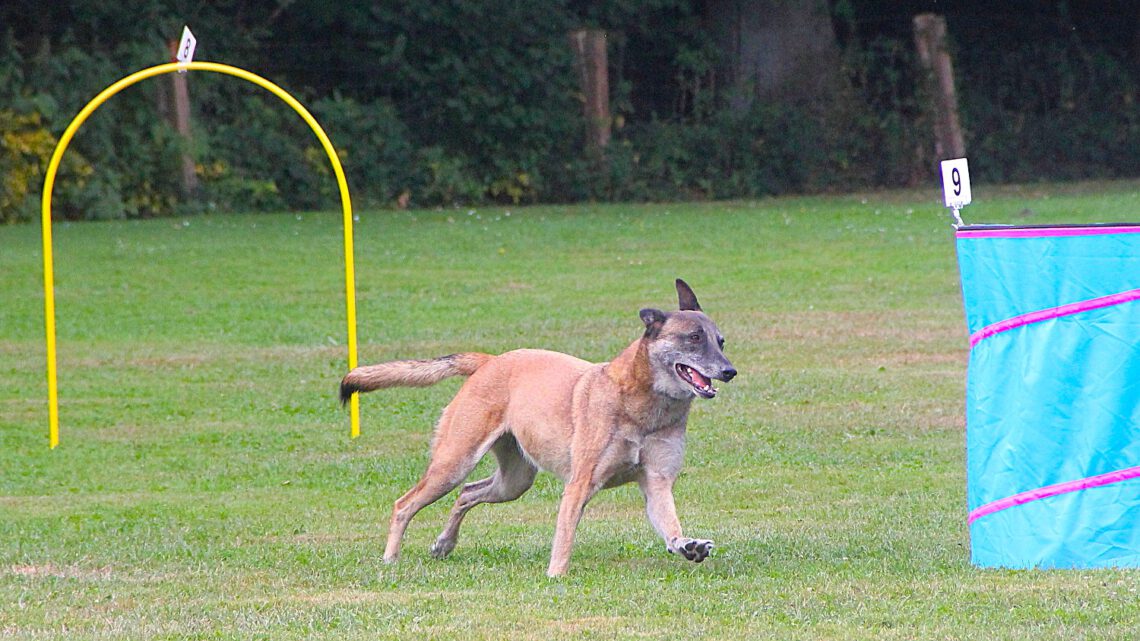 Unser Hoopers-Wochenende…