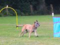 Unser Hoopers-Wochenende…
