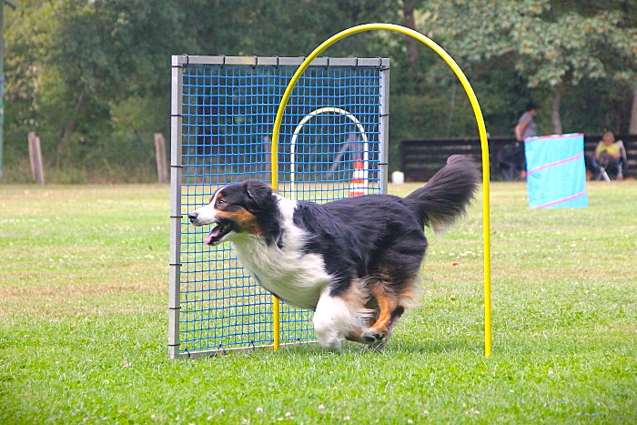 Hoopers intensiv…