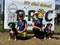 Deutsches Rally Obedience Championat 2026
