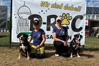 Deutsches Rally Obedience Championat 2026