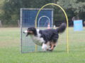 Hoopers intensiv…