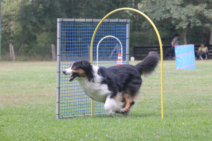 Hoopers intensiv…