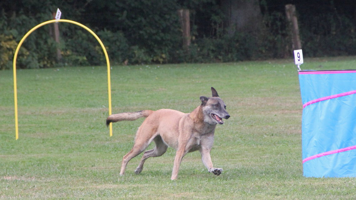 Unser Hoopers-Wochenende…