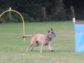 Unser Hoopers-Wochenende…